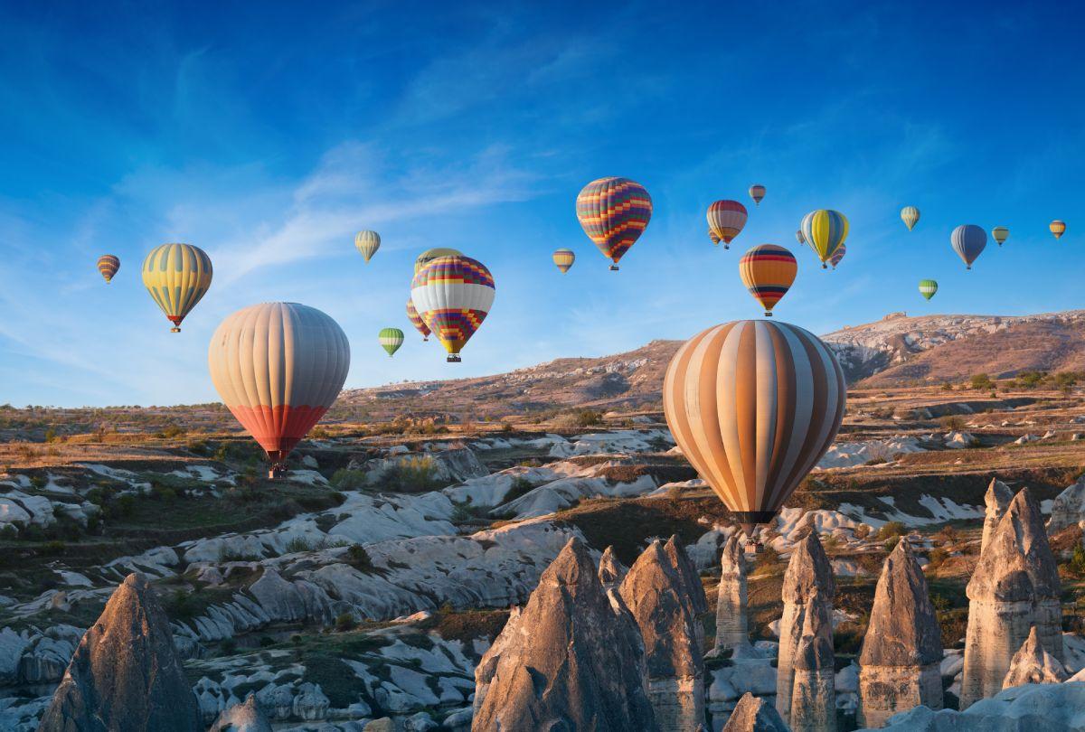 shutterstock_2482281493