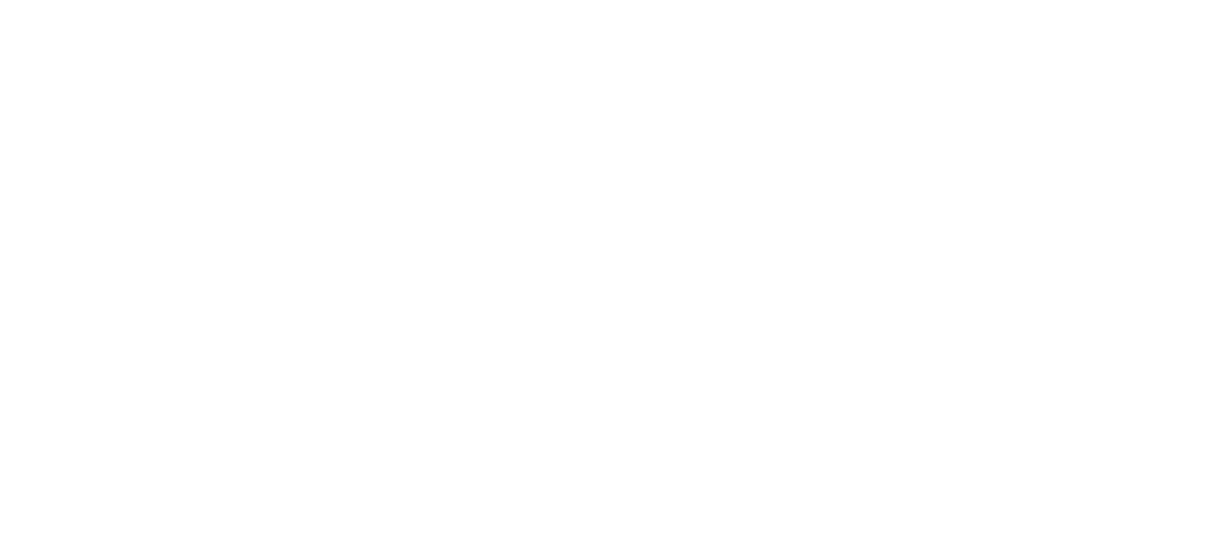 AIG